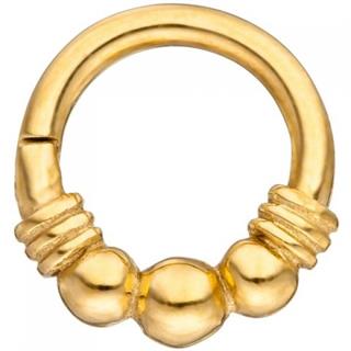 segmentring-edelstahl-goldfarben-klick-system-scharnier-ringstaerke-12-mm-5905916-1.jpg