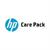 hp-care-pack-next-business-day-channel-remote-and-parts-exchange-service-po-u-5994174-1.jpg