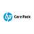 hp-care-pack-next-business-day-channel-remote-and-parts-exchange-service-u9-5992476-1.jpg